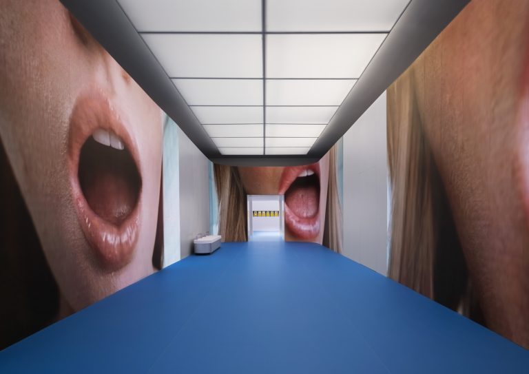 Installation-Images-Maja-Malou-Lyse-DIS-Things-to-Come-2026-©-Ugo-Carmeni-